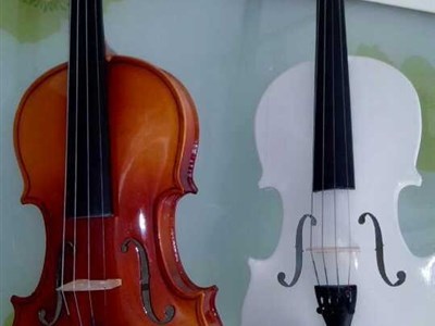 北京批發零售兒童提琴倉儲式銷售 大提琴與小提琴價格探秘與半價優惠策略