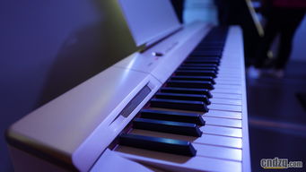 光與音的交響 2017卡西歐全國經(jīng)銷商大會(huì)暨新品發(fā)布會(huì)盛況回顧